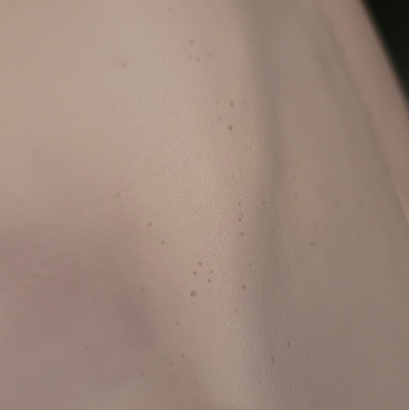 Coach Snakeskin Harmony 1941 Hobo - Picture 16 of 16